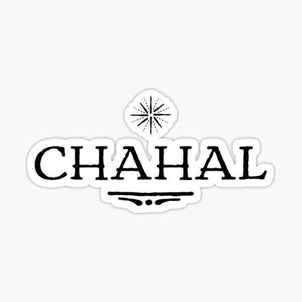 MS CHAHAL AND SONS LTD