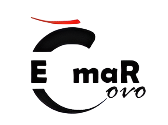 shenzhen emar technology