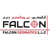 Falcon Geomatics LLC