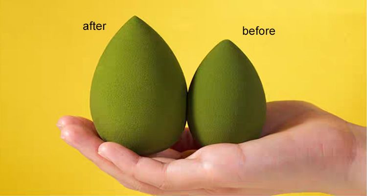 senoha beauty sponge blender