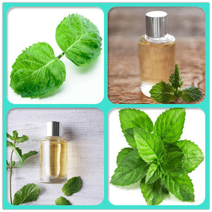 Pure bulk peppermint oil menthol mint essential oil