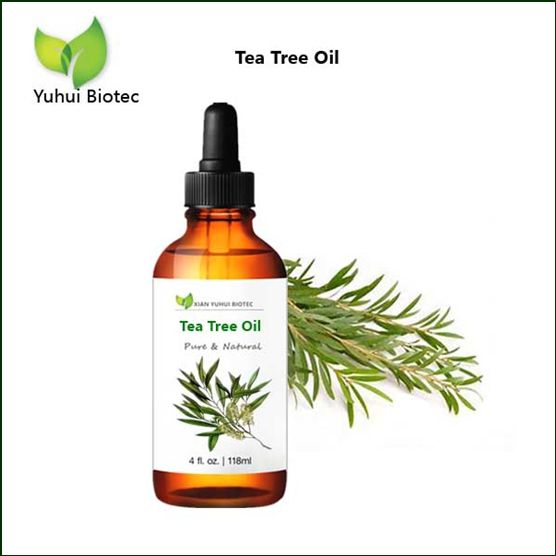 Private label OEM Anti-Inflammatory Tea Tree Oil 10ml 15 Ml 30ml for Acne Scars