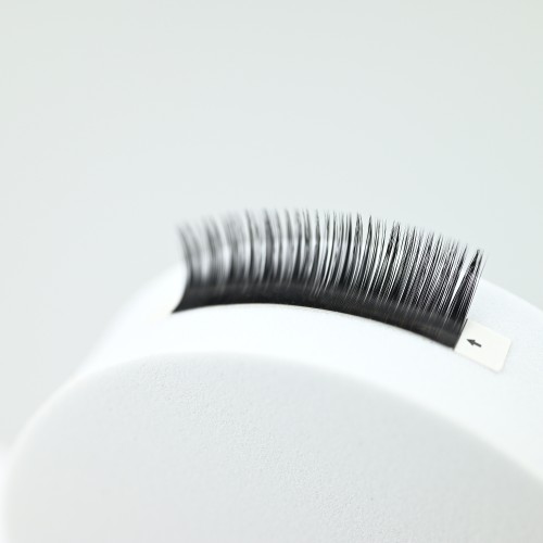 MT lashes China Wholesale Rapid Blooming Volume Eyelash Extension