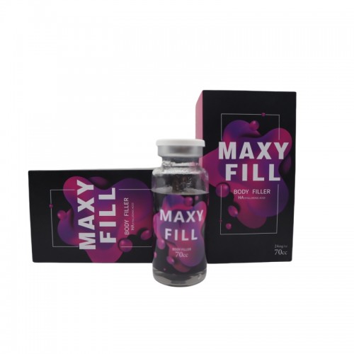 Maxy Fill for Body Filler 70cc