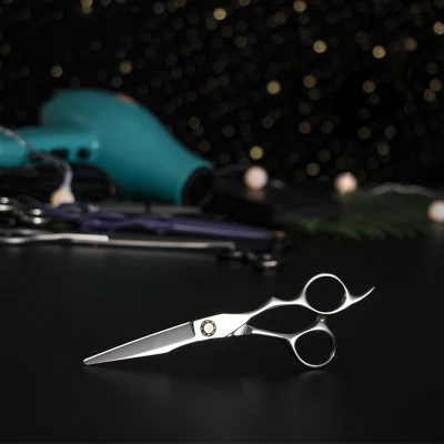 6.0 Inch New Fashion Design Beauty Barber Hair Brush Combs Hair Scissor Set