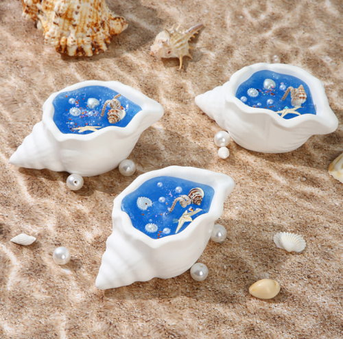 Cleaneze Seashell-shaped Soy Wax Candle Gift Set with Sea Shell Fragrance and DIY Fruit Jelly Candle