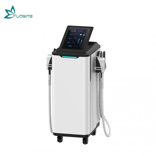 Newest Technology Cryolipolysis &EMS Slim EMS Sculpt Beauty Machine for Aesthetic Salon