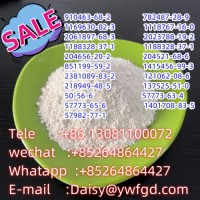 FACTORY HOT SALE CAS 782487-28-9,Sermaglutide