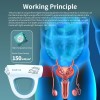 Photon Physiotherapy Instrument Enlarged Prostate