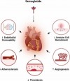 Semaglutide Tirzepatide Ipamorelin the newest injectable medication for the treatment of adults with obesity