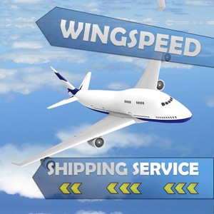 Global Air/Sea Shipping Forwarder Sea Freight Shipping From China To Miami Brisbane --skype:bonmedsonia