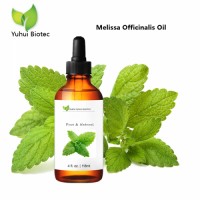 Pure Melissa Officinalis Essential Oil for Soothing, Calming and Uplifting