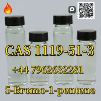 High purity 5-Bromo-1-pentene CAS 1119-51-3 factory price