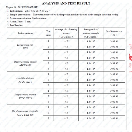 Portable Electrolytic Ozone Water Flosser Rechargable Oral Irrigator Type-C Dental Flosser Ozone Cleaner Ozone Generator