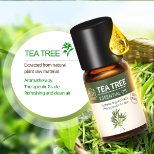 Supplier Sale Private Label Aroma Organic Essential Oils Pure Natural 10ml Bulk Tea Tree Oil for Treating Acne