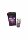 MAXYFILL Body Filler 70CC