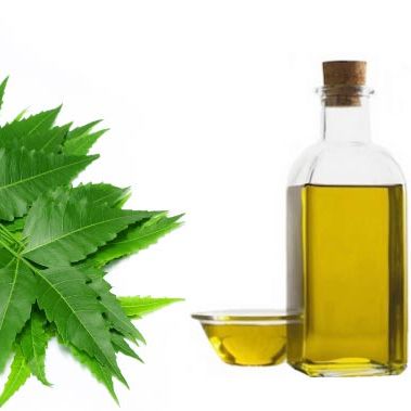 focus neem oil