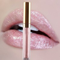 Liquid Lipstick Waterproof Makeup Matte Cosmetic Lip Gloss Case