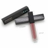 Liquid Lipstick Waterproof Makeup Matte Cosmetic Lip Gloss Case