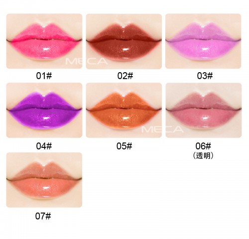 Liquid Lipstick Waterproof Makeup Matte Cosmetic Lip Gloss Case