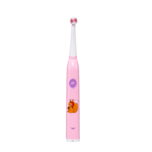 Ultrasonic Sonic Electric Toothbrush Head,Electric Toothbrush