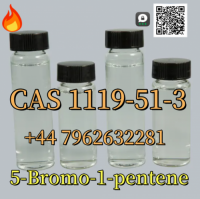 Professional Manufacture High Quality Organic Intermediate 5-Bromo-1-Pentene CAS 1119-51-3