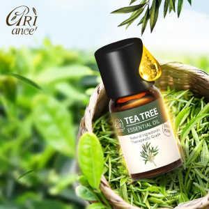 Supplier Sale Private Label Aroma Organic Essential Oils Pure Natural 10ml Bulk Tea Tree Oil for Treating Acne