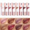 Nude Brown Pink Waterproof Diamond High Pigment Clear Tube Shiny Glitter Lip Gloss