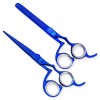 6.5 Inch Professional Blue Titanium Barber Scissor Razor Edge Hair Cutting Scissors and Texturizing/Thinning Shears Scissors Set