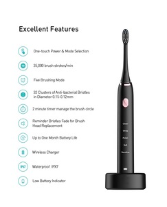 Ovia Oral Hygiene Electric Toothbrush USB Charging IPX7 Waterproof Wireless Travel Electric Sonic Power Toothbrush